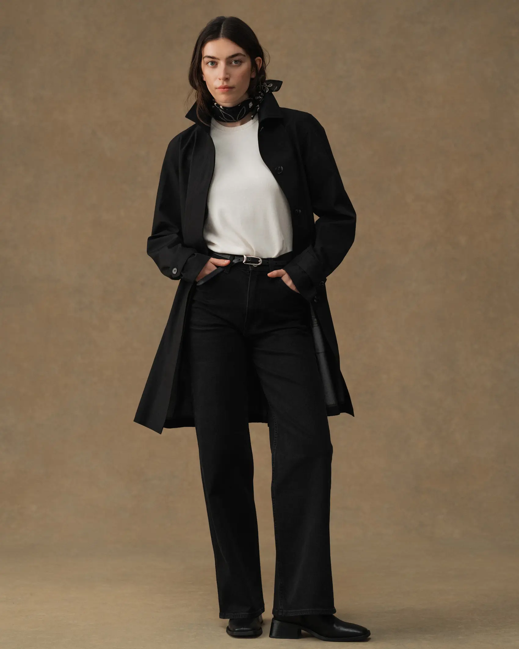 Product rollover image